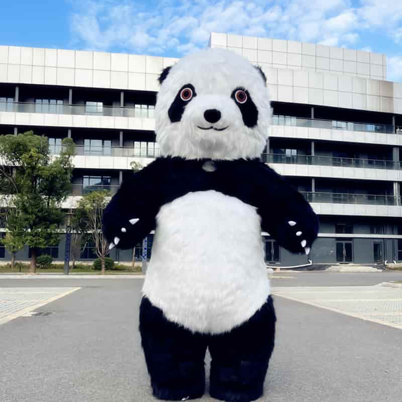 Costumes panda