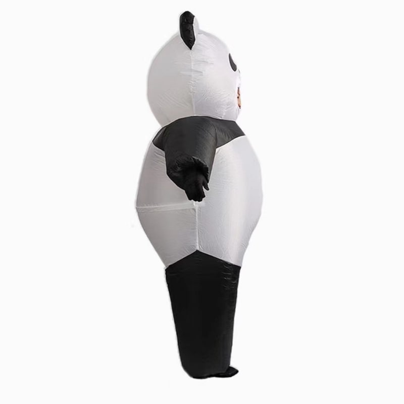 Costume de Panda